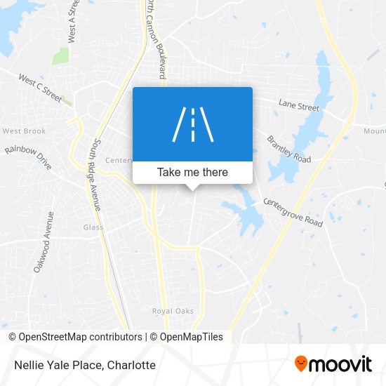 Nellie Yale Place map