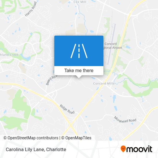 Mapa de Carolina Lily Lane