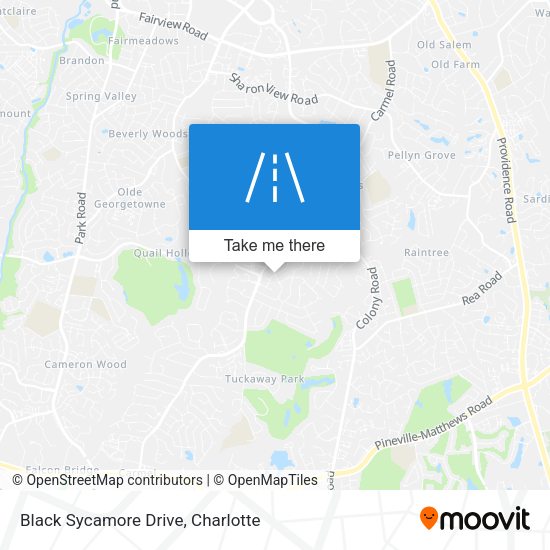 Black Sycamore Drive map