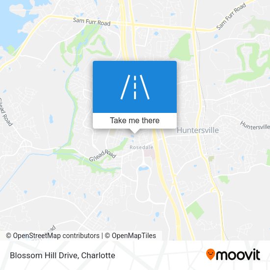 Blossom Hill Drive map