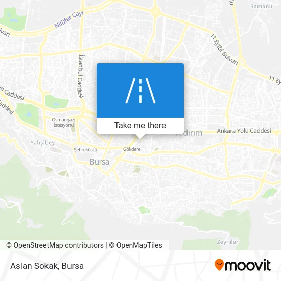 Aslan Sokak map