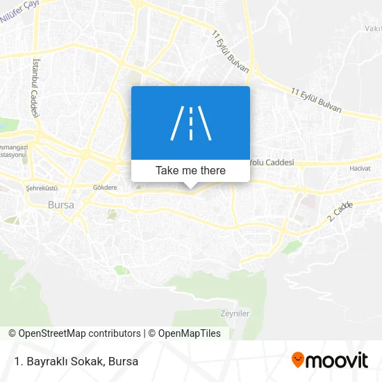 1. Bayraklı Sokak map