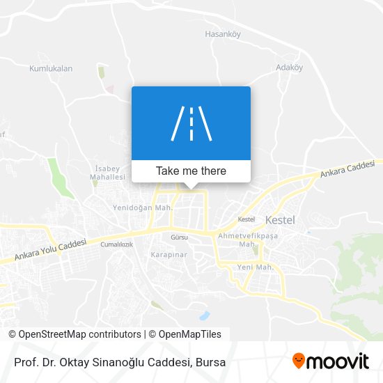 Prof. Dr. Oktay Sinanoğlu Caddesi map