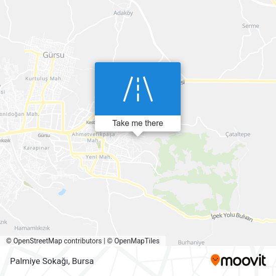 Palmiye Sokağı map