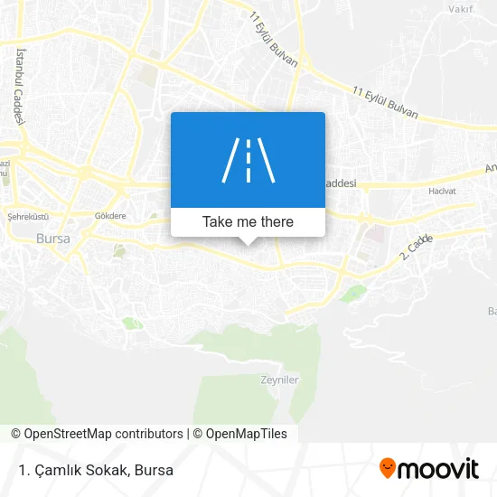 1. Çamlık Sokak map