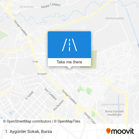 1. Aygünler Sokak map
