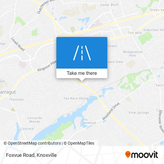 Foxvue Road map