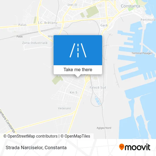 Strada Narciselor map