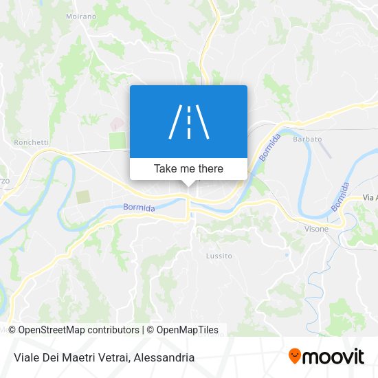 Viale Dei Maetri Vetrai map