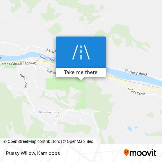 Pussy Willow map