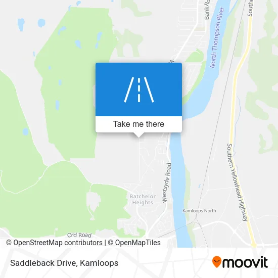 Saddleback Drive map