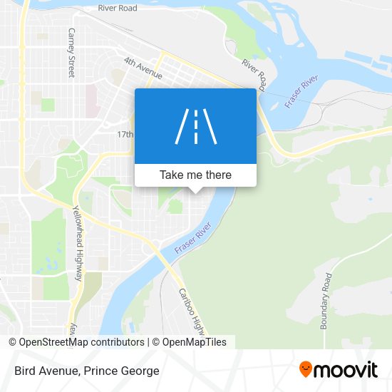 Bird Avenue plan