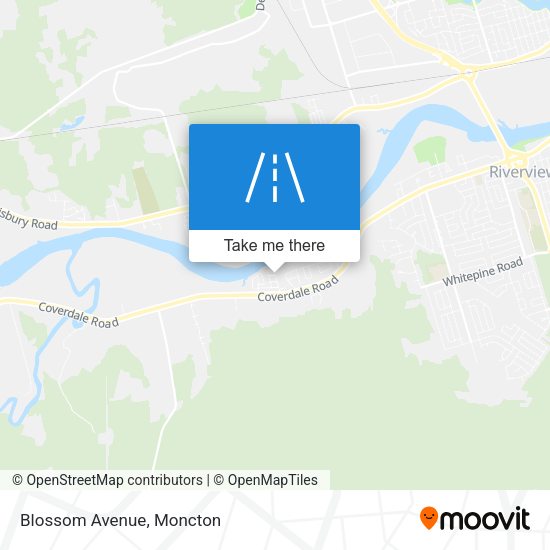 Blossom Avenue plan