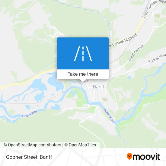 Gopher Street map