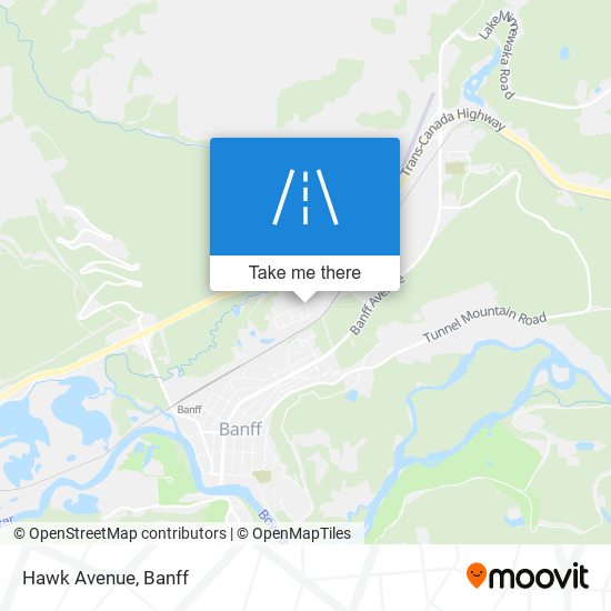 Hawk Avenue map