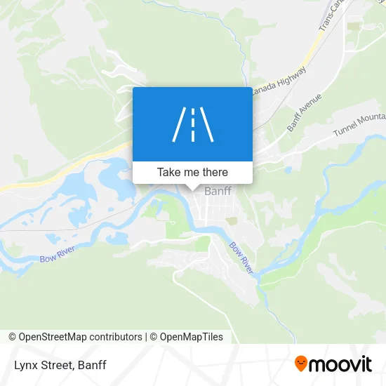 Lynx Street map
