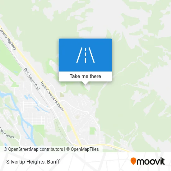 Silvertip Heights map