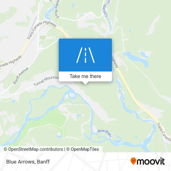 Blue Arrows map