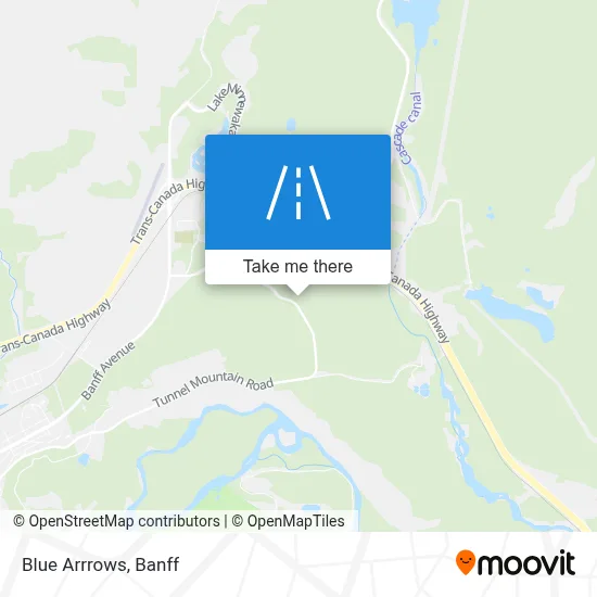 Blue Arrrows map