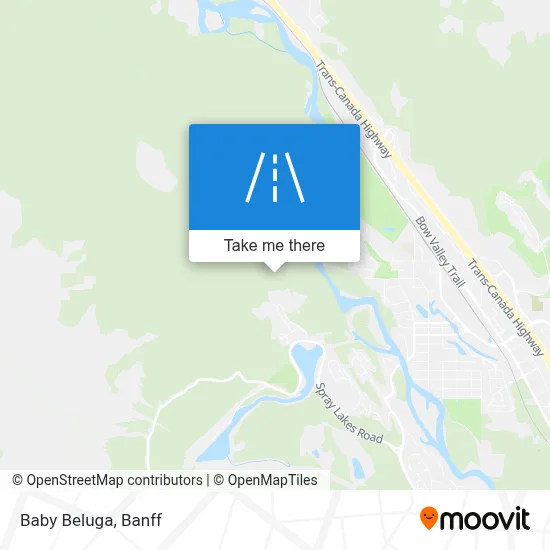 Baby Beluga map