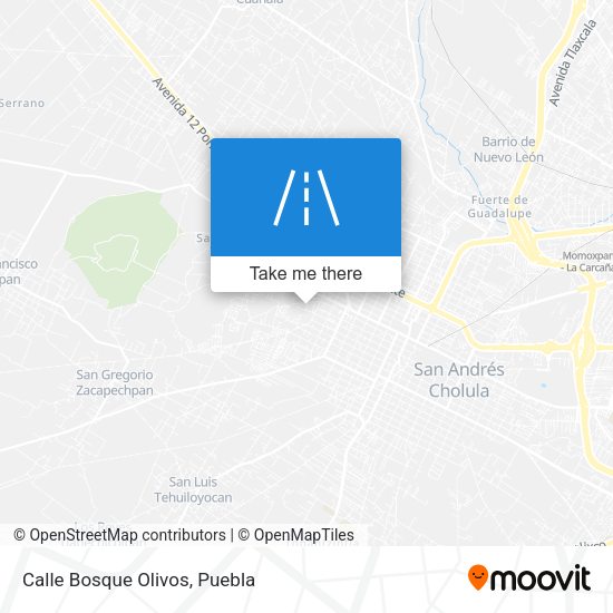 Calle Bosque Olivos map