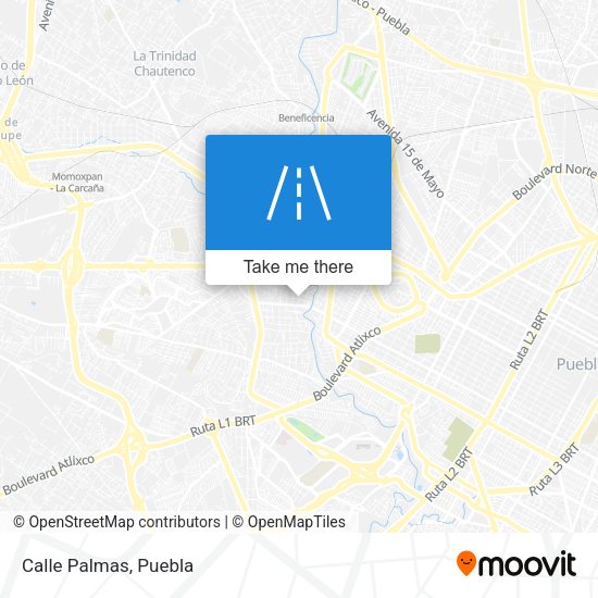 Mapa de Calle Palmas