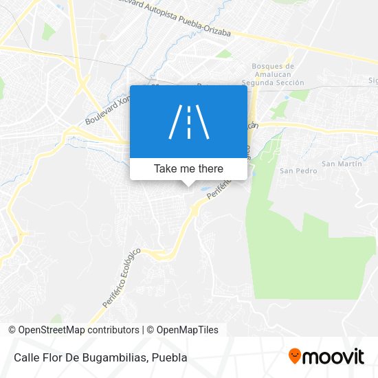 Calle Flor De Bugambilias map