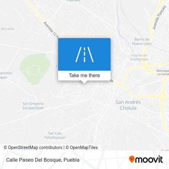Calle Paseo Del Bosque map