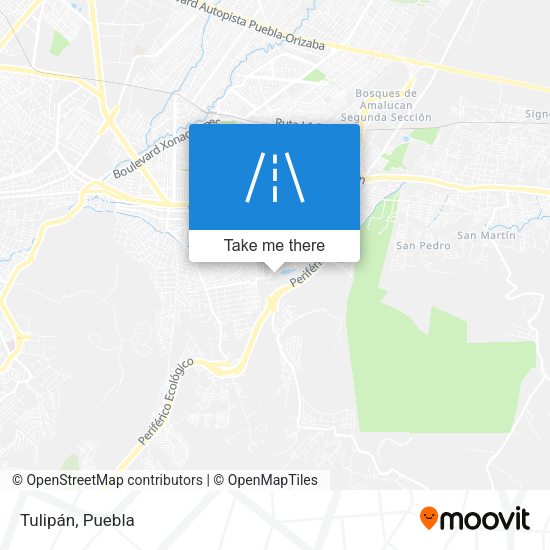Mapa de Tulipán