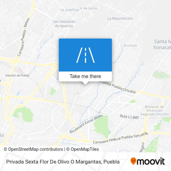 Privada Sexta Flor De Olivo O Margaritas map