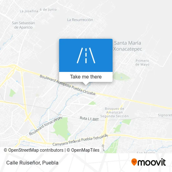 Calle Ruiseñor map