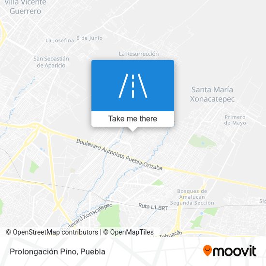 Mapa de Prolongación Pino