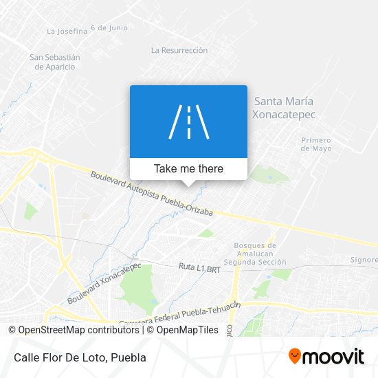 Calle Flor De Loto map