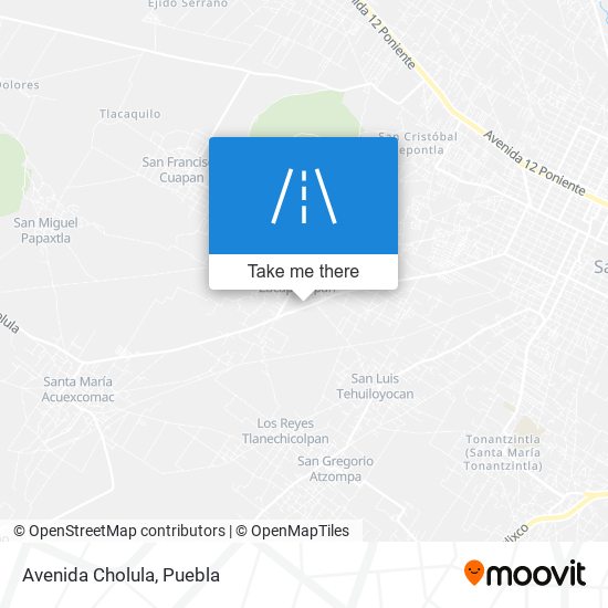 Avenida Cholula map