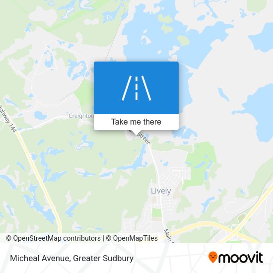 Micheal Avenue map
