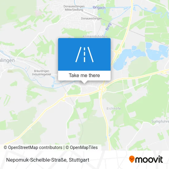 Карта Nepomuk-Schelble-Straße