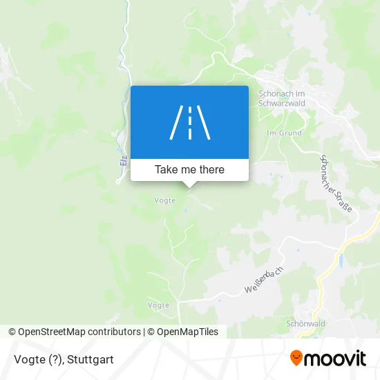 Карта Vogte (?)