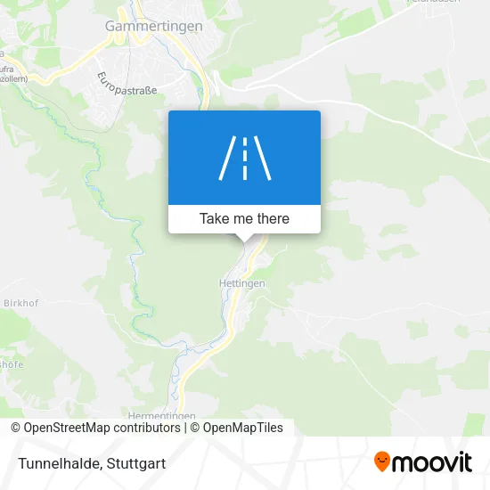 Карта Tunnelhalde