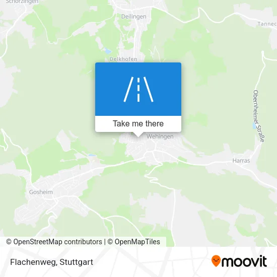 Карта Flachenweg