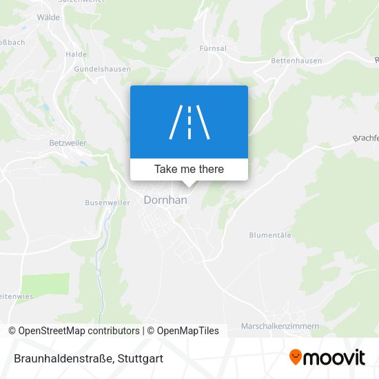 Braunhaldenstraße map