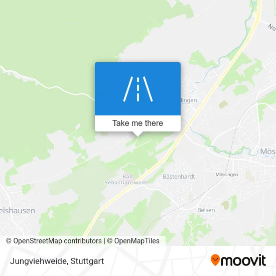 Карта Jungviehweide