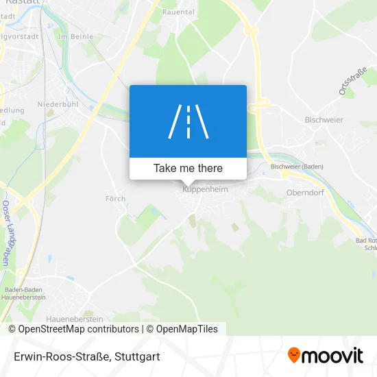 Карта Erwin-Roos-Straße