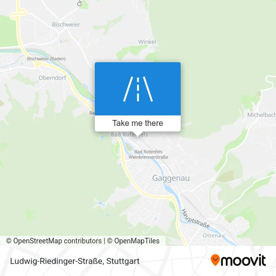 Карта Ludwig-Riedinger-Straße