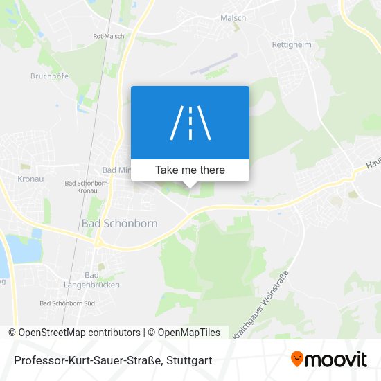 Professor-Kurt-Sauer-Straße map