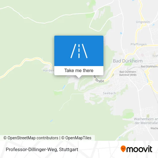 Карта Professor-Dillinger-Weg