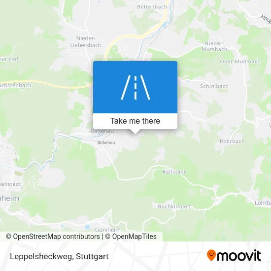 Карта Leppelsheckweg