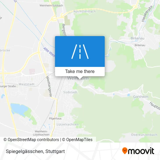 Карта Spiegelgässchen