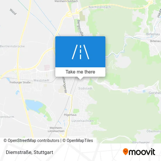 Карта Diemstraße
