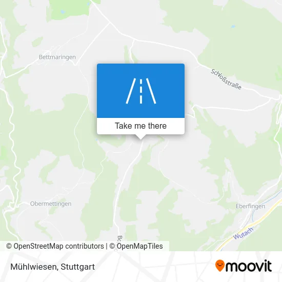 Карта Mühlwiesen