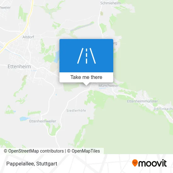 Карта Pappelallee